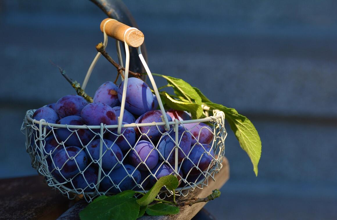 Prunes