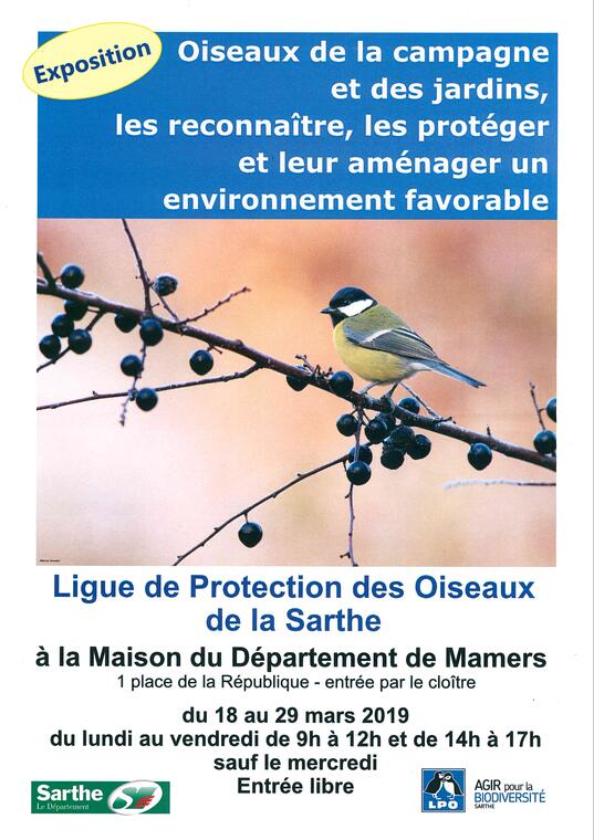 Expo oiseaux