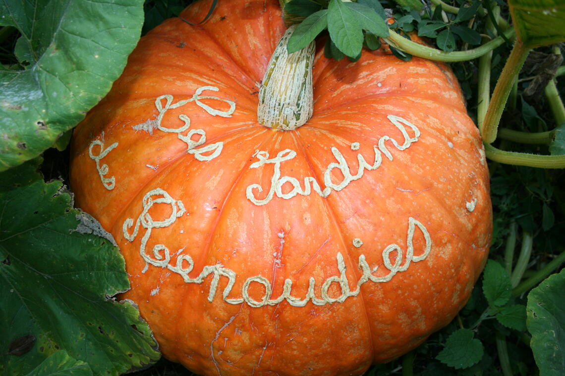 Fête des Citrouilles 2015 Jardins des Renaudies Jardins(1)