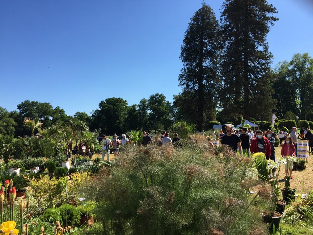 Foire aux plantes - Château de Danne
