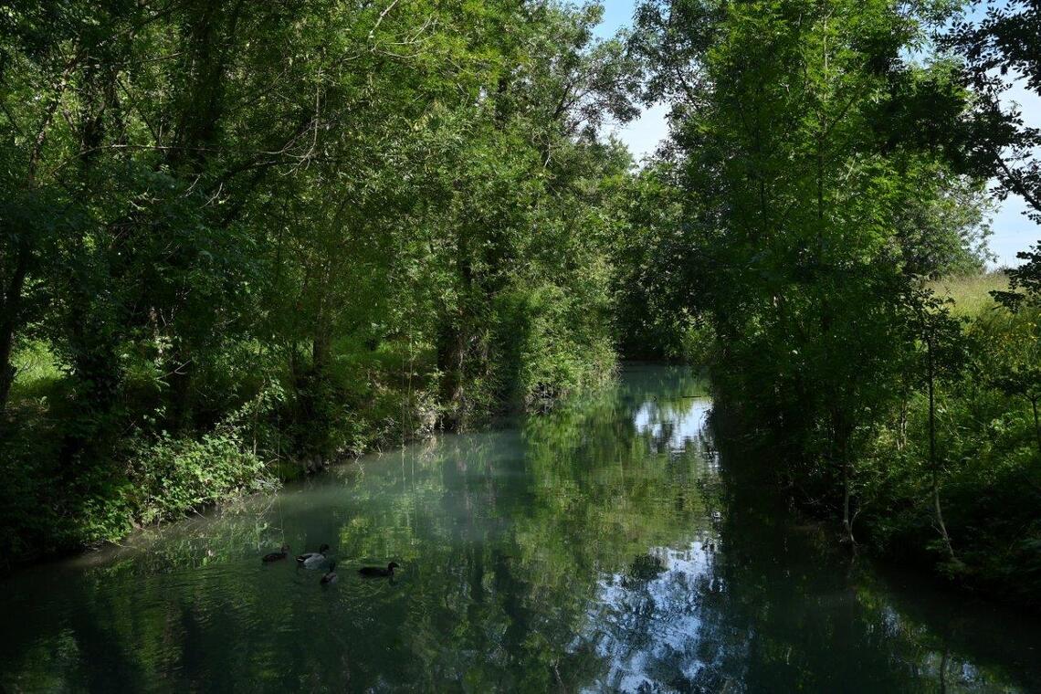 P.TRECUL_2022__Marais de Doix Fontaine