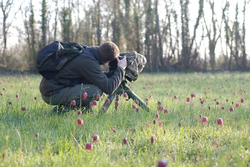 P.TRECUL-photographe