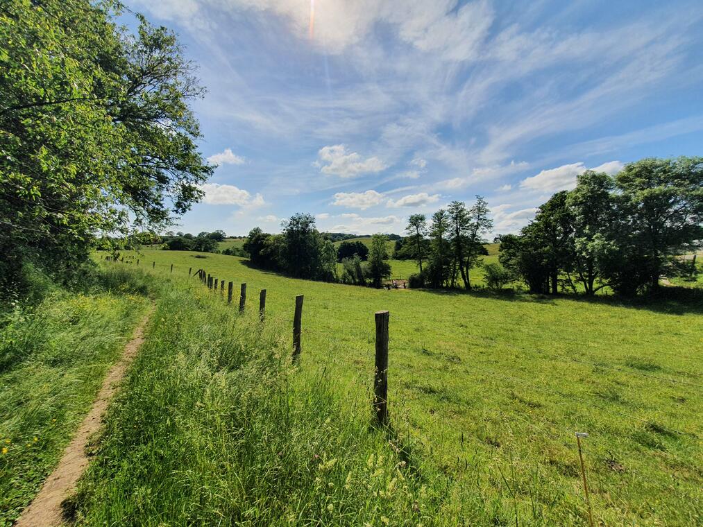 Trail St-Jean-sur-Mayenne