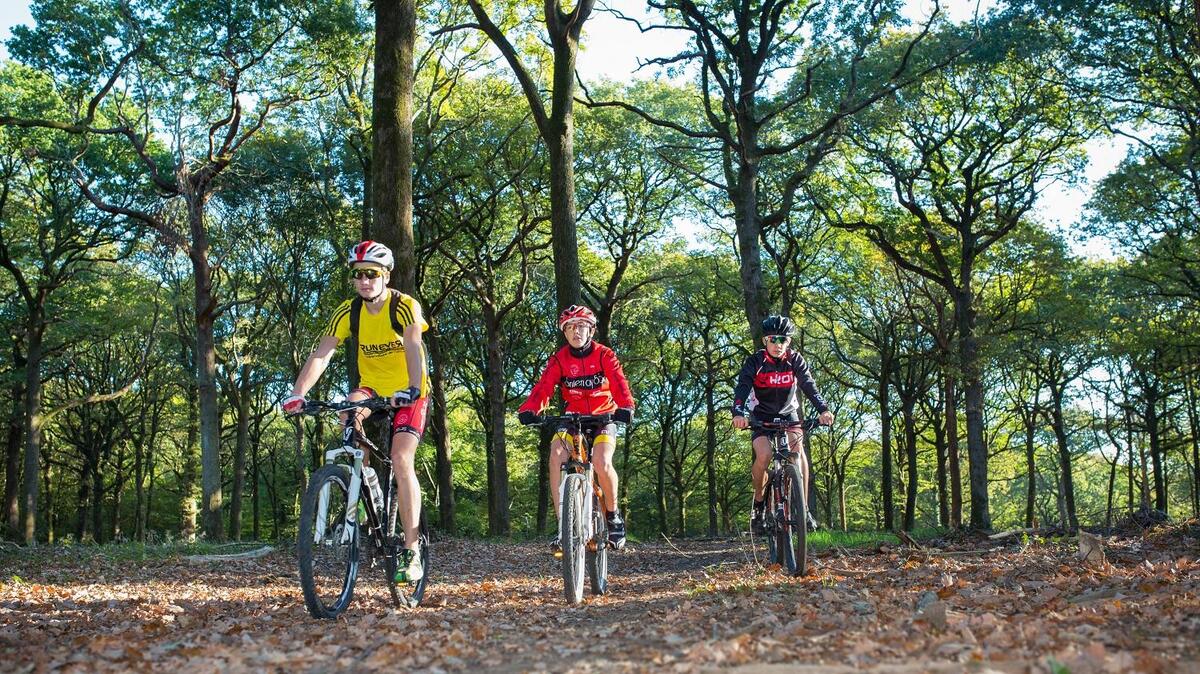 VTT 3 Mervent