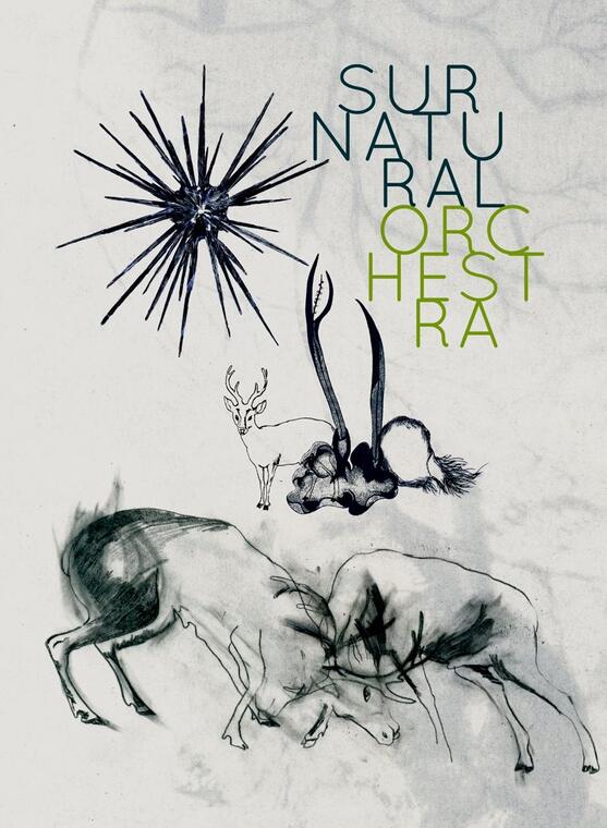 affiche surnatural horses (3)