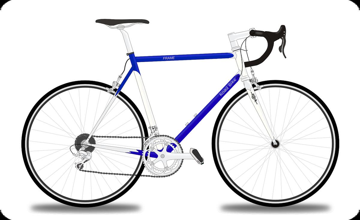 La Grenouille bleue de Damvix location de vélo