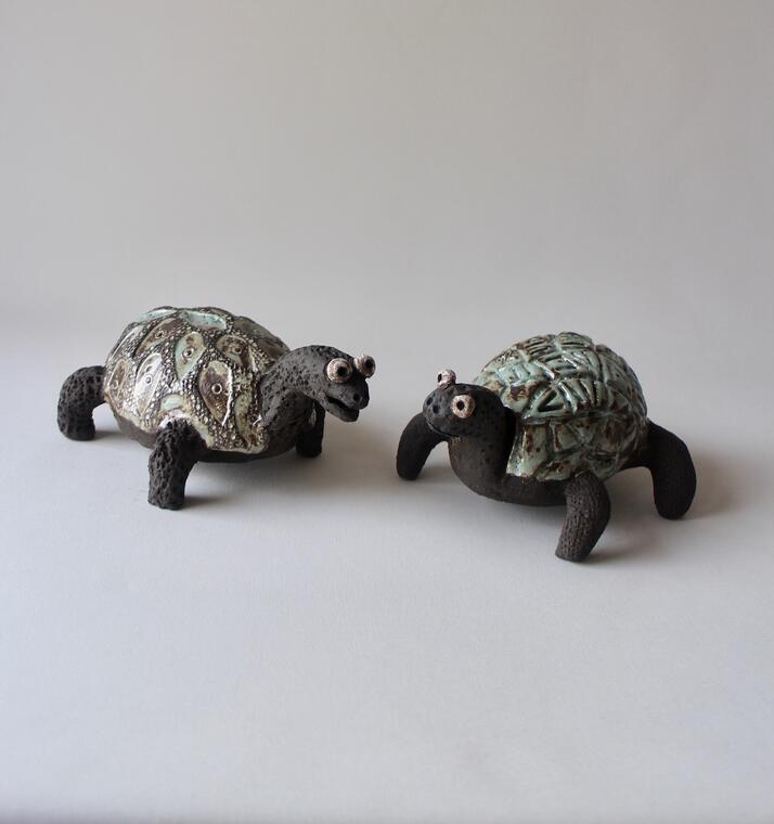 4-cornut-_tortues-