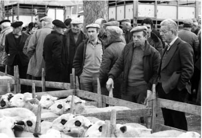 expo Miers
