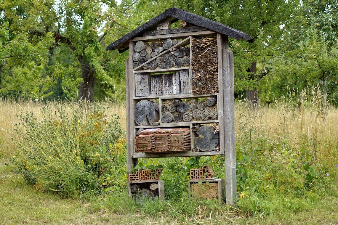 Hôtel à insectes