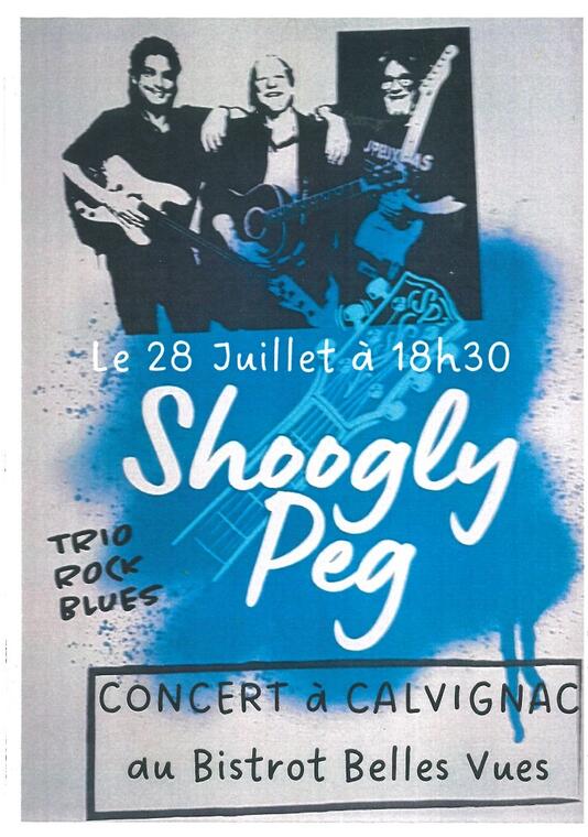 concert shoogly peg