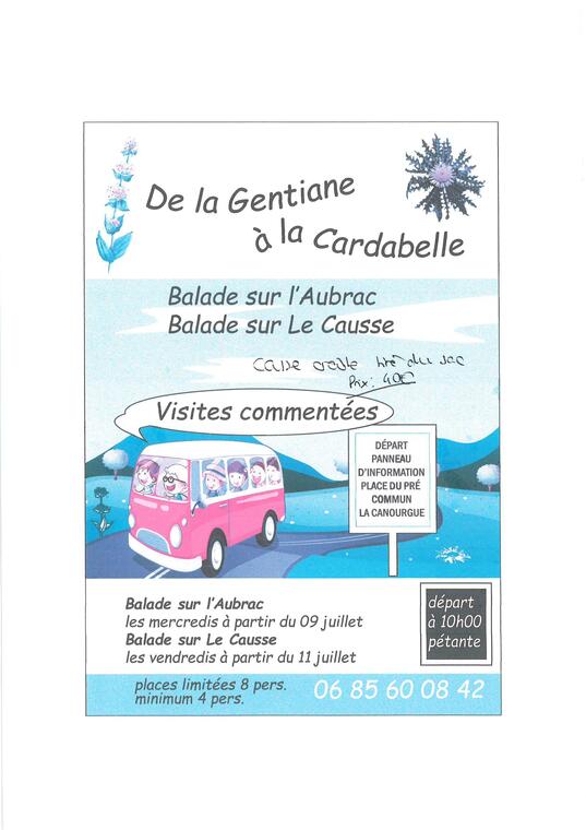 De la gentiane à La Cardabelle