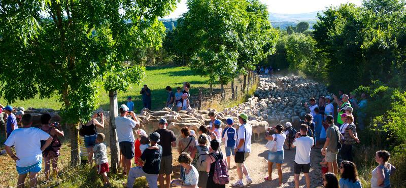 FERME SEGUIN, GAEC DES GRANDS CAUSSES