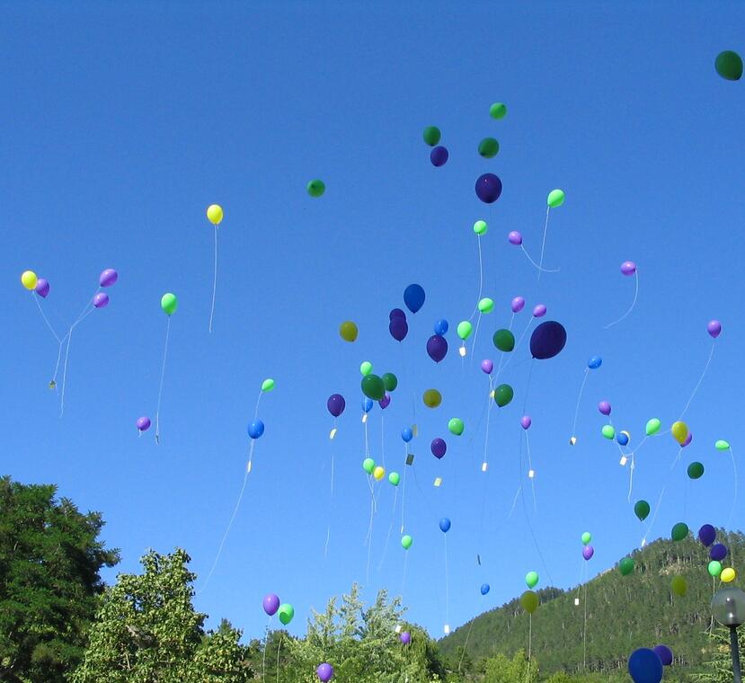 Fête des Vignes
