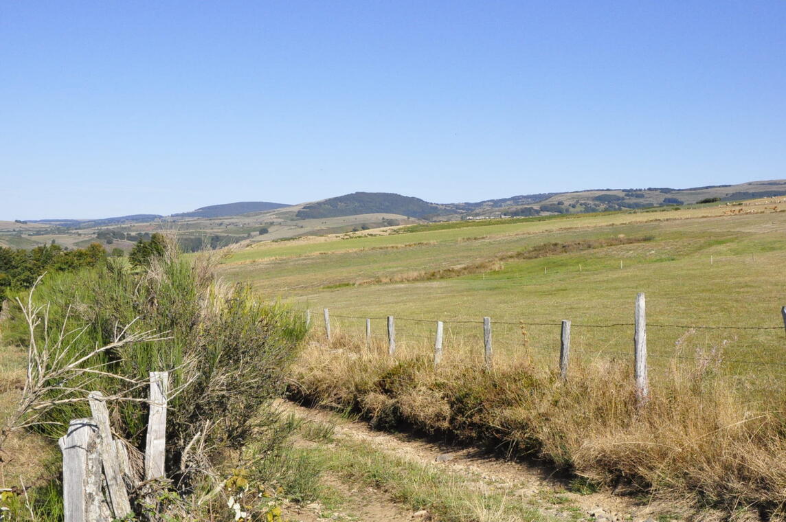 Les monts d'Aubrac depuis le chemin de crête_1