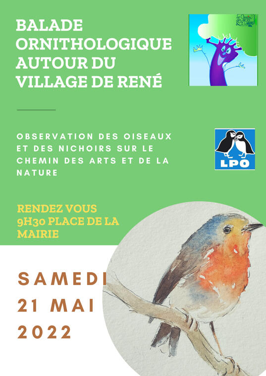 Balade ornitho René