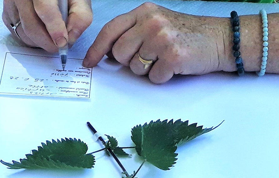 DEP49_creer_un_herbier_2024
