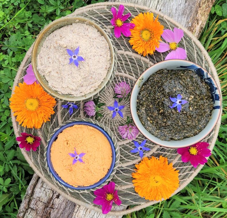 ATELIER CUISINE SAUVAGE©MONSAVOUREUXJARDIN