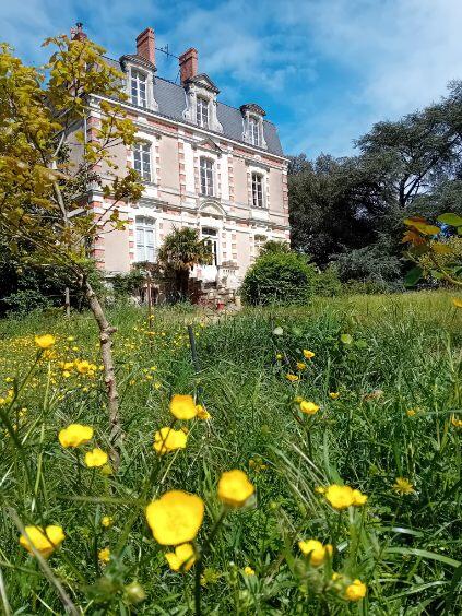 Château de Villeneuve
