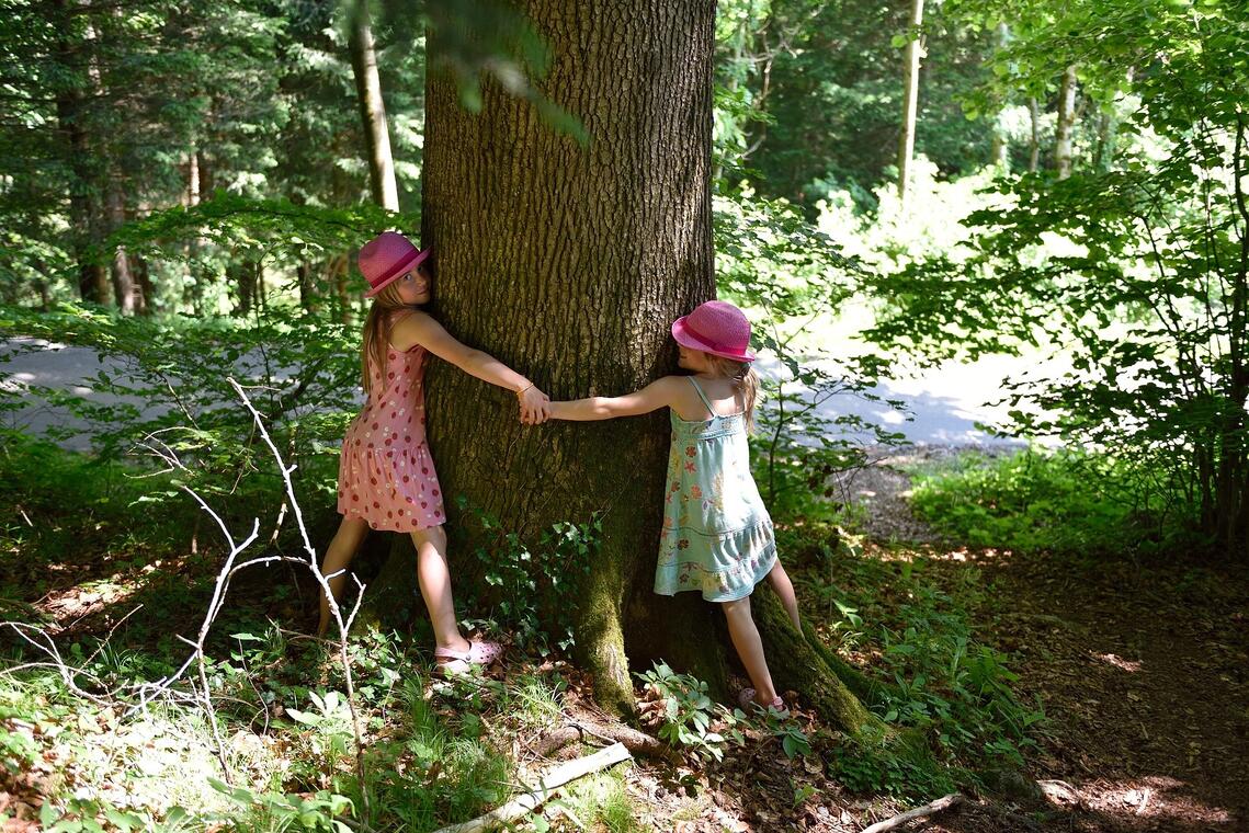 Enfants dans la forêt