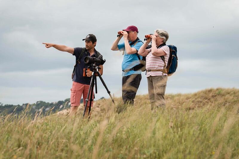 Birding Mont-Saint-Michel