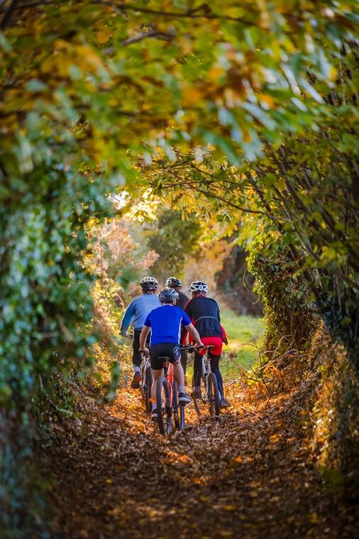 VTT dans le bocage