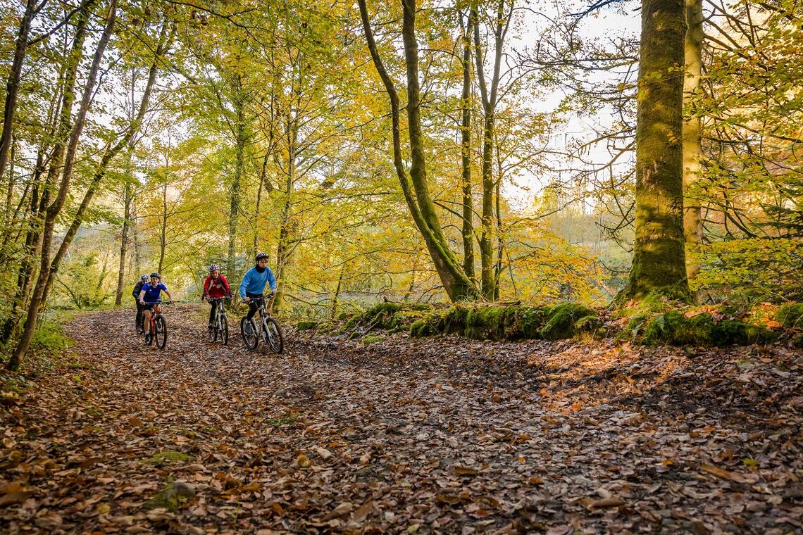 VTT à Saint-Pois