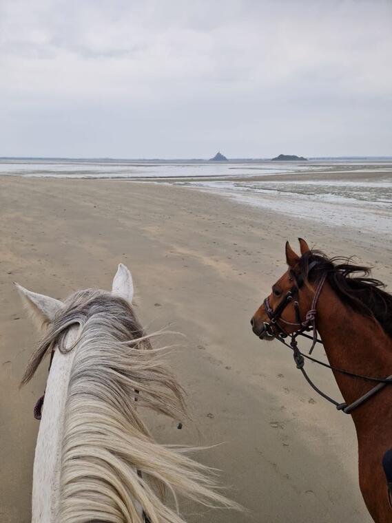 Randonnée en Baie du Mont Saint-Michel