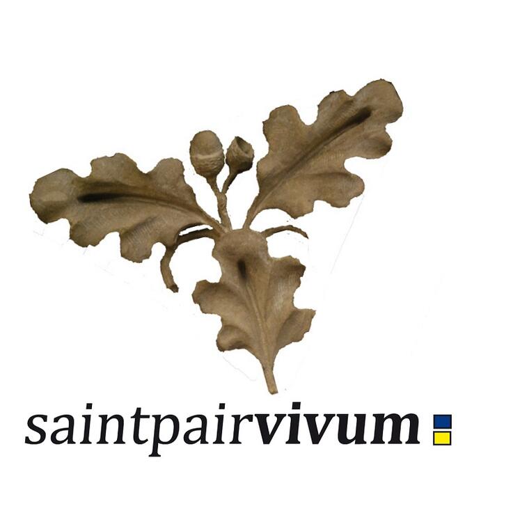 Logo Saint-Pair Vivum