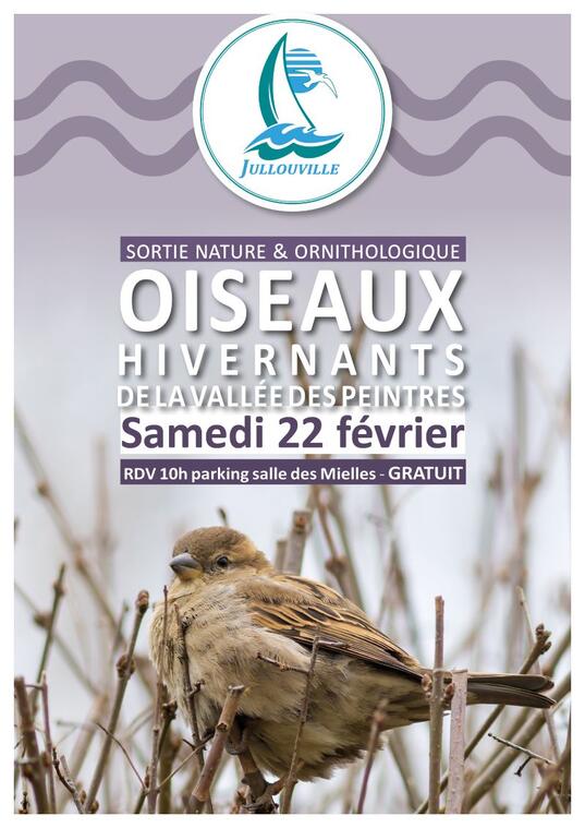 sortie oiseaux 21.02.2025