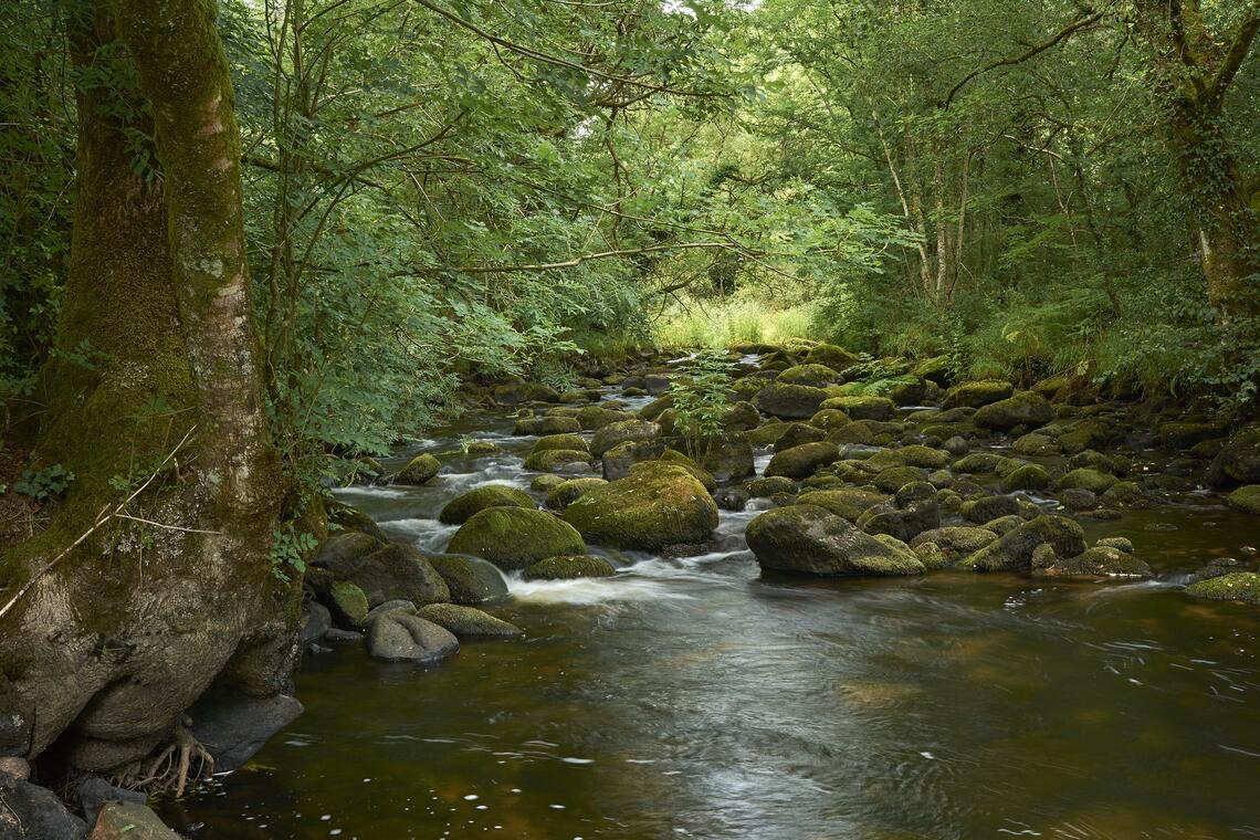 bords de la rivière Ellé - Le Faouët