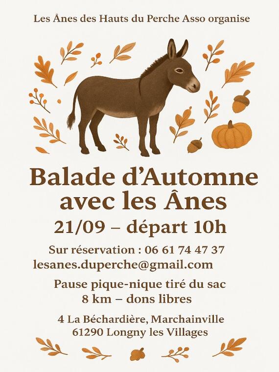 ânes des hauts du perche