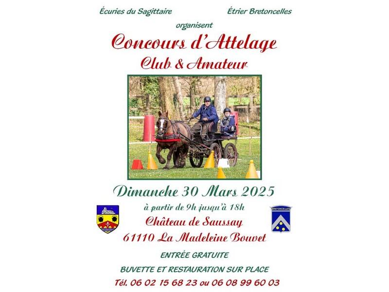 concoursattelage-lamadeleinebouvet-800