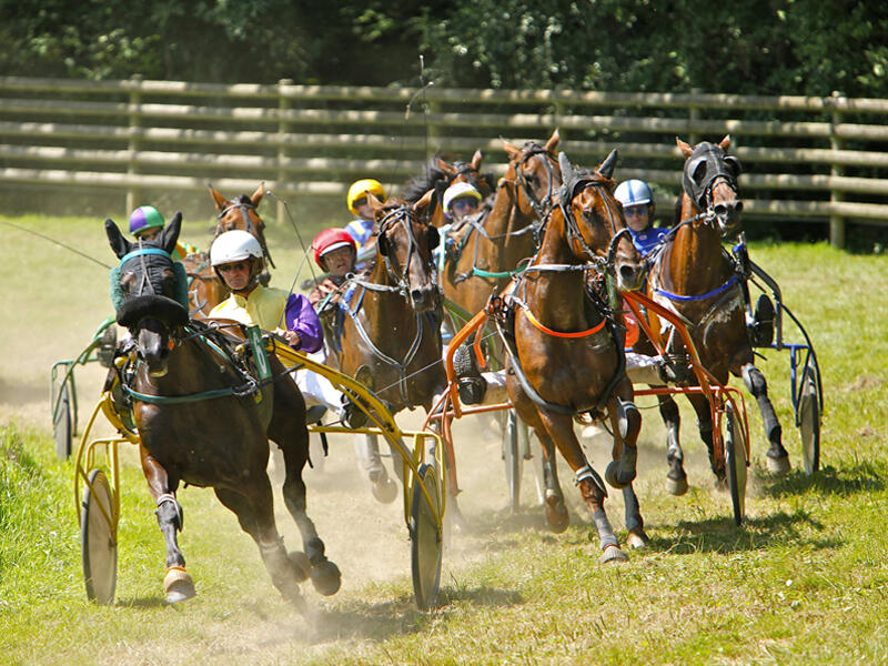 bagnoles_courses hippiques