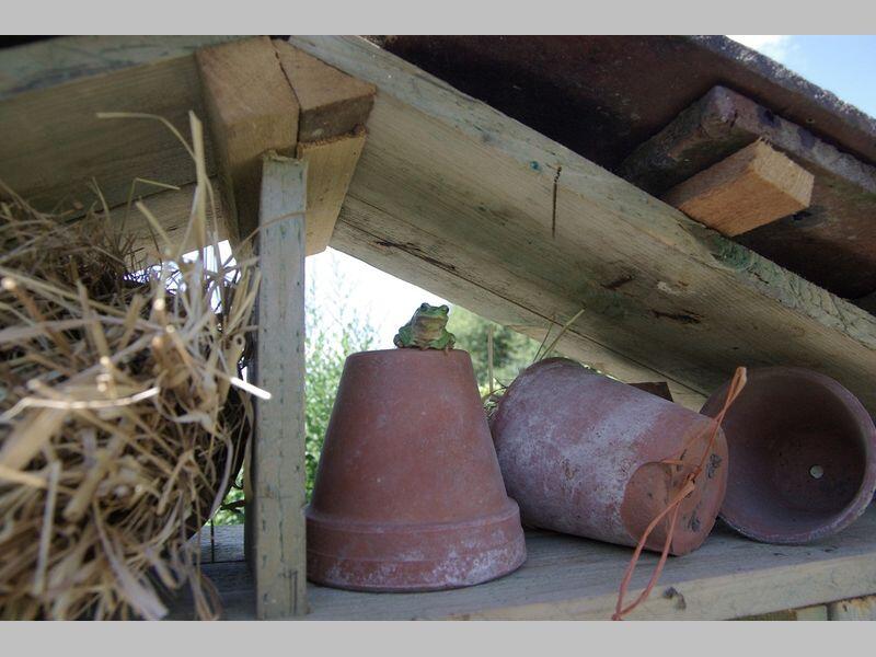 ecomusee_jardin3_800