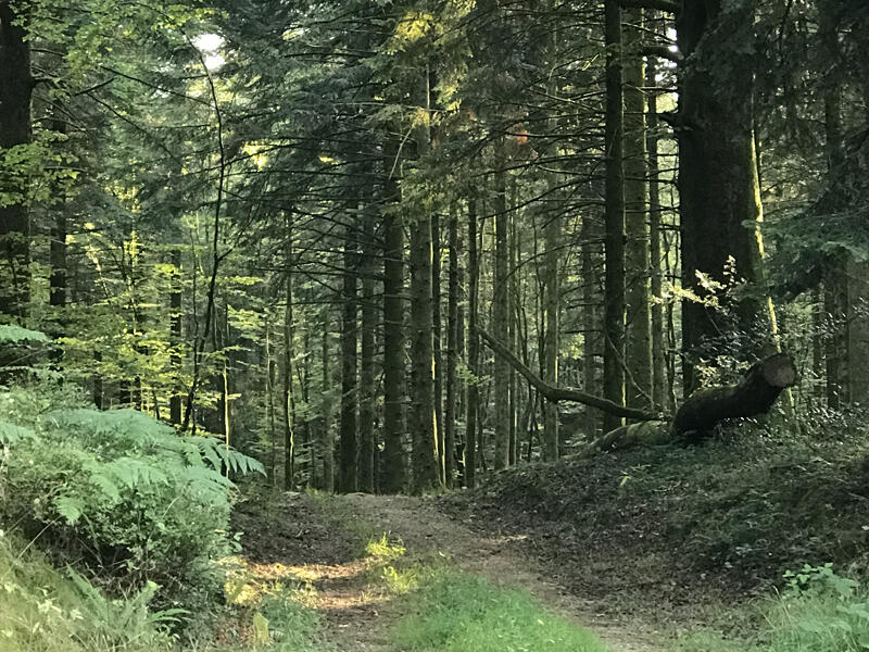 bagnoles-orne-foret