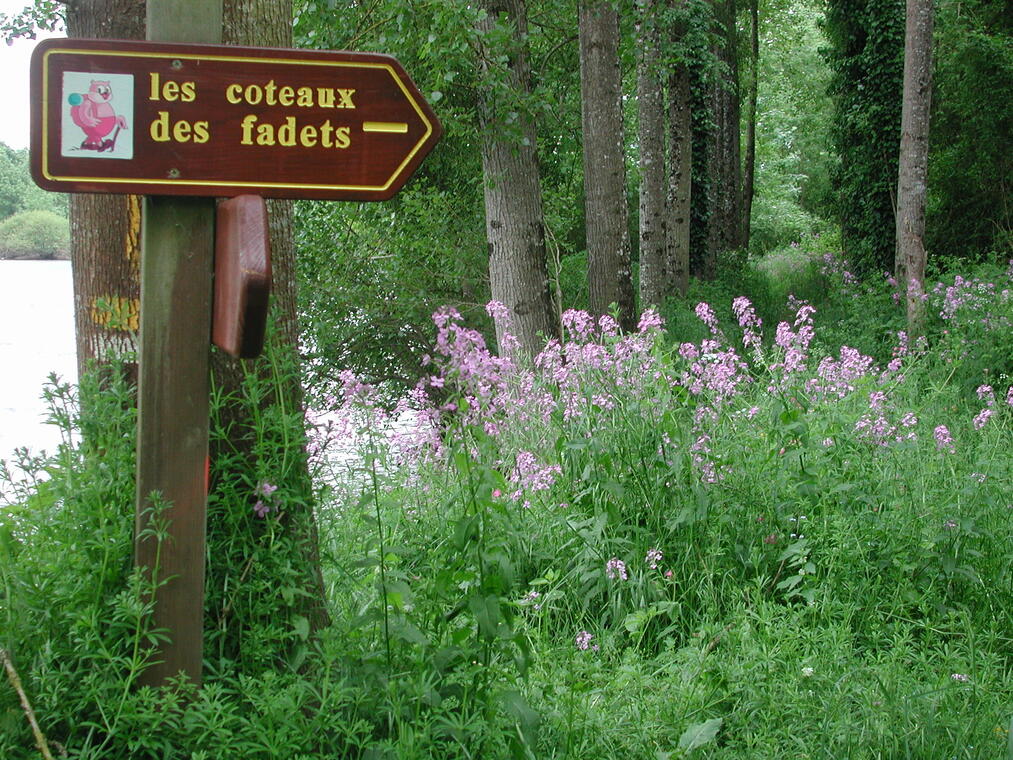 COTEAUX DES FADETS.JPG_1