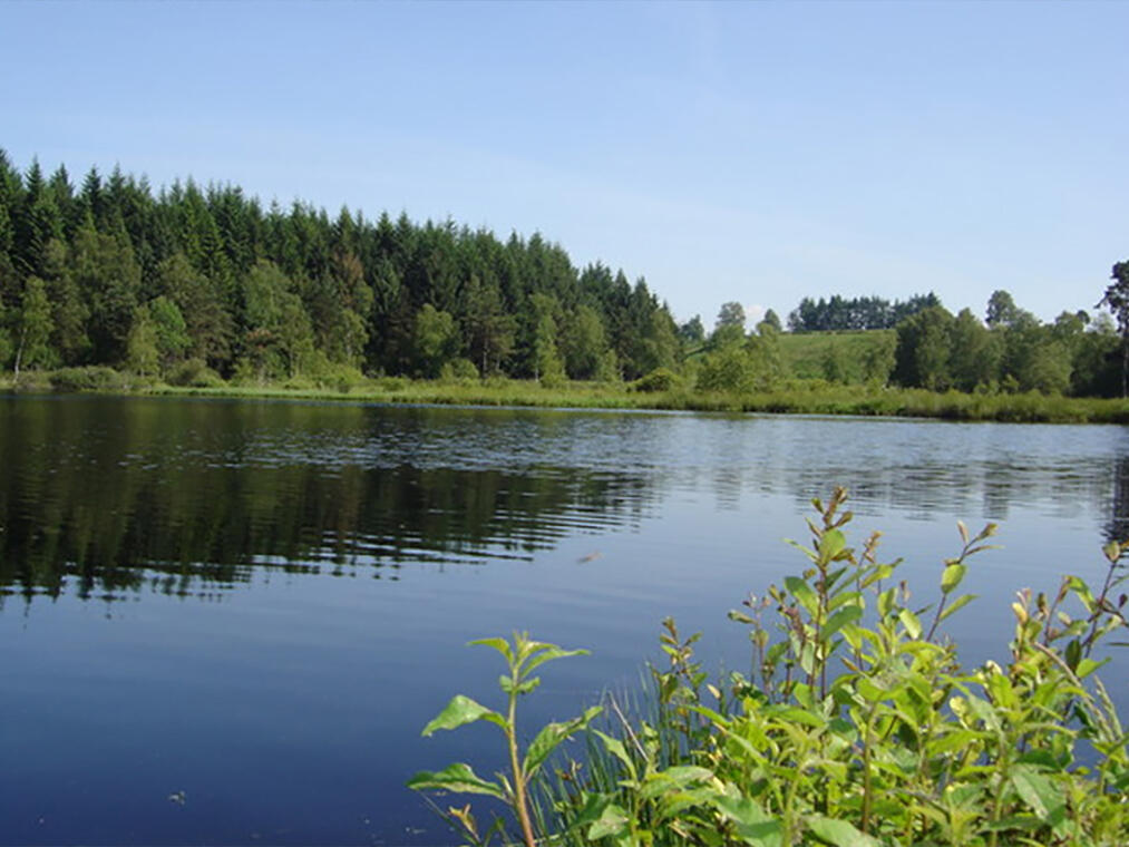 Circuit du lac de Faux.jpg_1