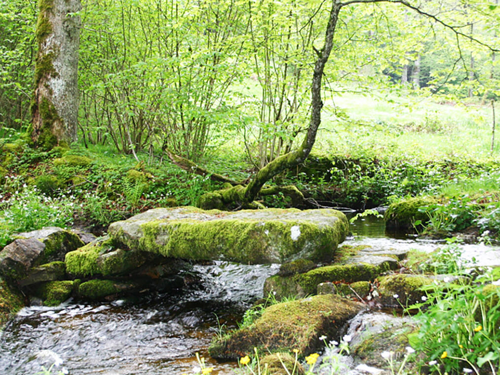 Le chemin de l’eau.jpg_1