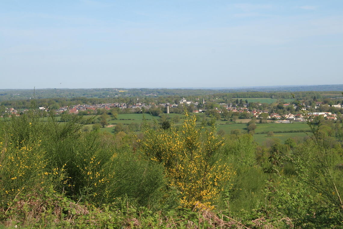 Dun .vue du bois de chabannes 002.jpg_1