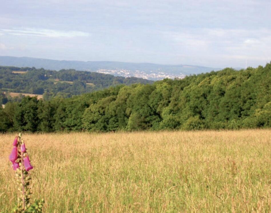 Roches-Portes-de-la-Creuse-en-Marche.jpg_1