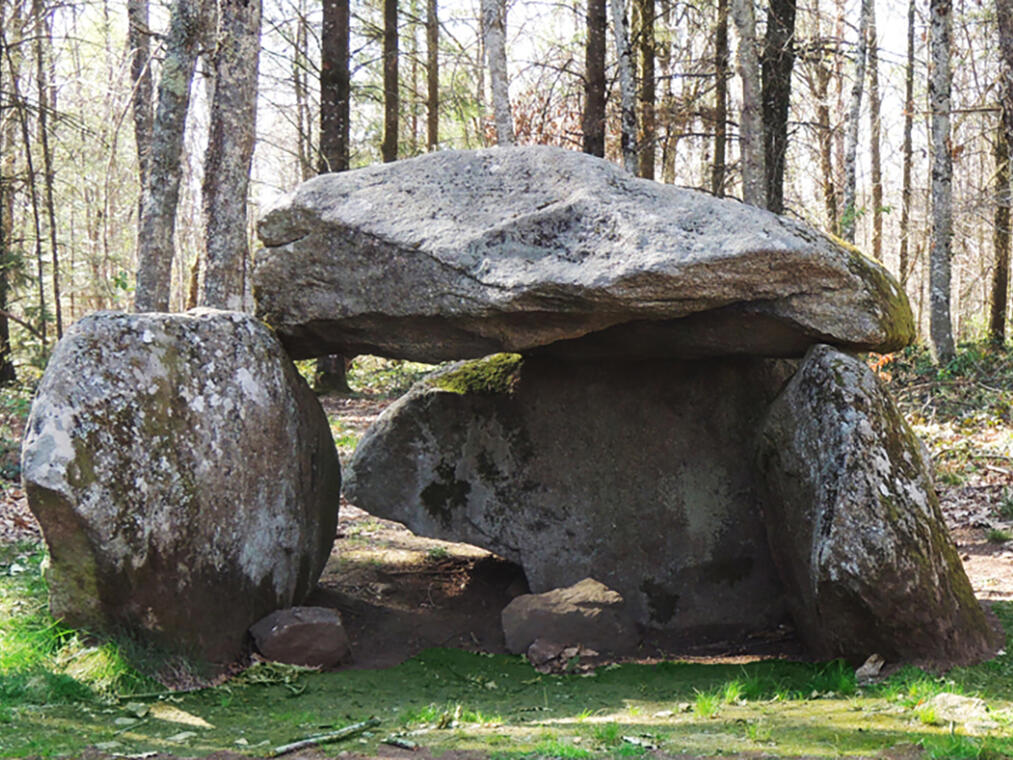 Dolmen de Pierre Fade_1