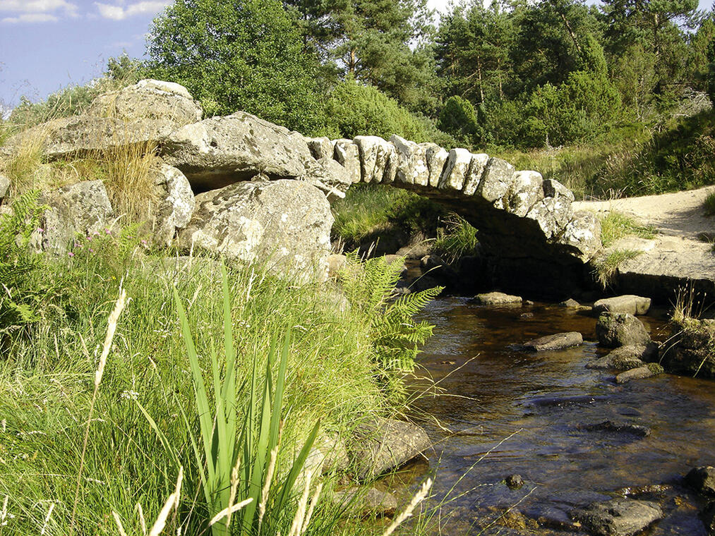 Pont de Senoueix_1