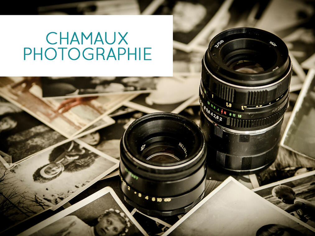 Chamaux Photographie_1