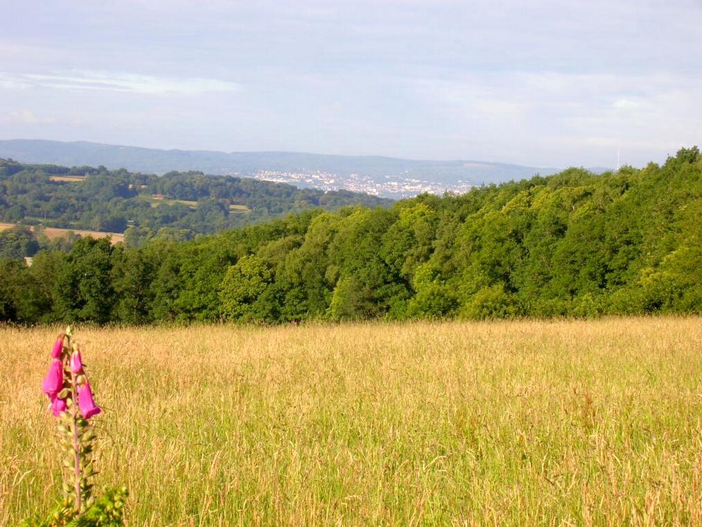 point de vue de Peume_1