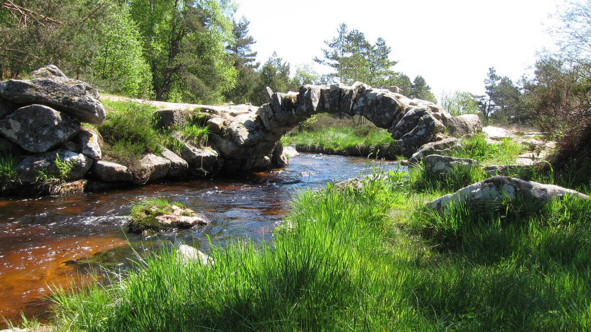 Pont de Senoueix_1