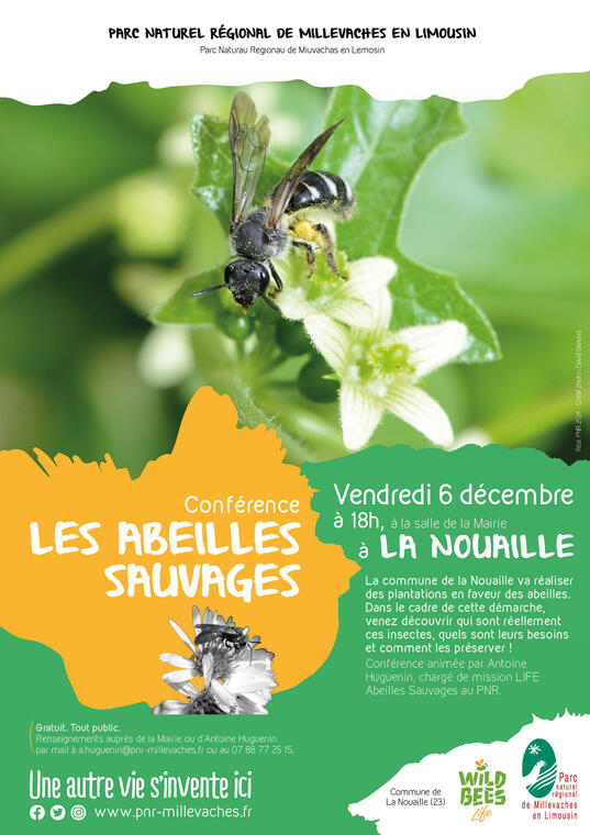 20241206_Affiche_Conf_LaNouaille