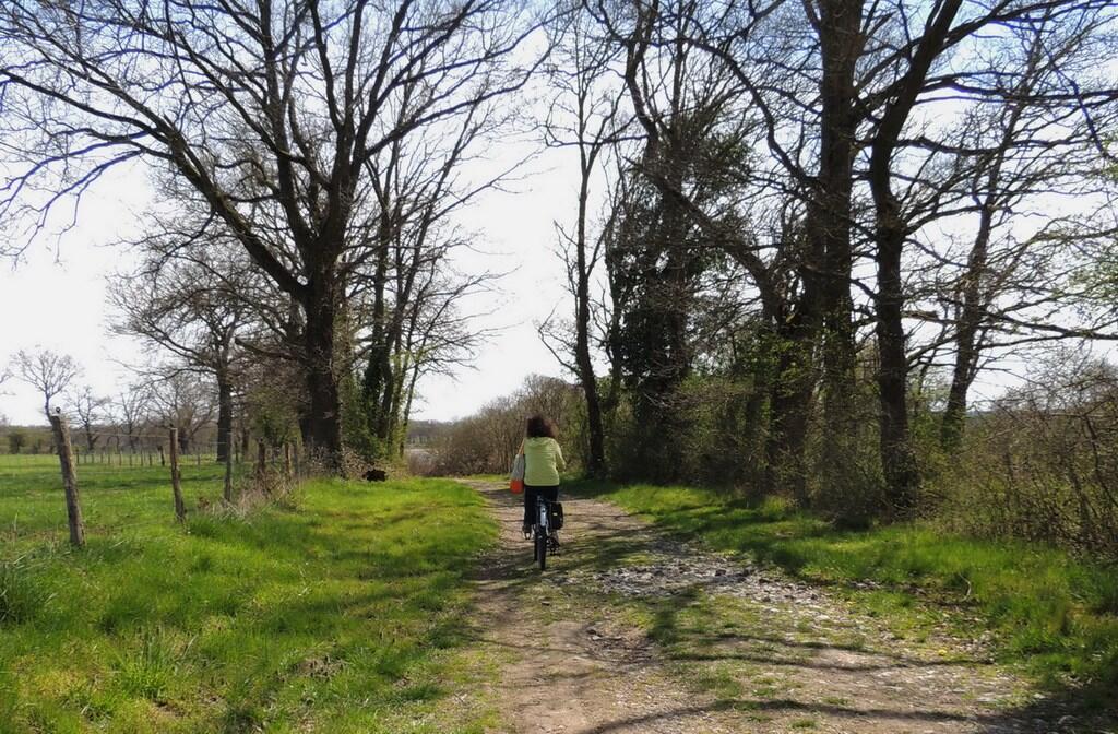 Journée du patrimoine à l'Etang des Landes_1