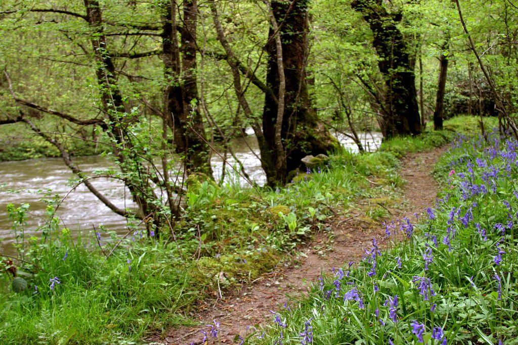 Les Gorges de la Voueize_1