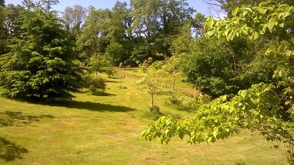 Arboretum du Lys_1