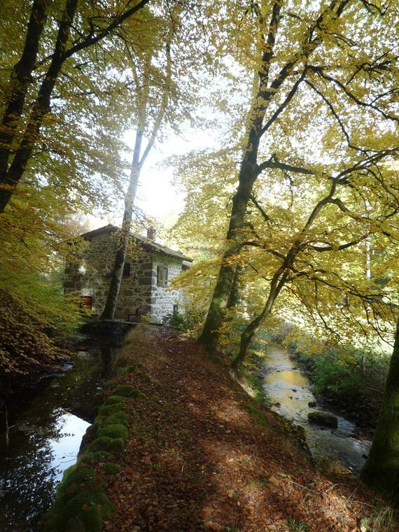 Moulin Foulon